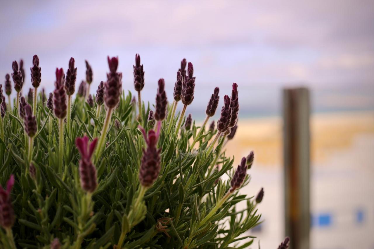 Apartamento Cozy House - Penthouse Humero 270º Tarifa